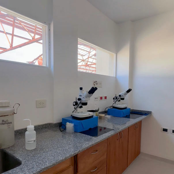 Describir el contenido visual de esta imagen