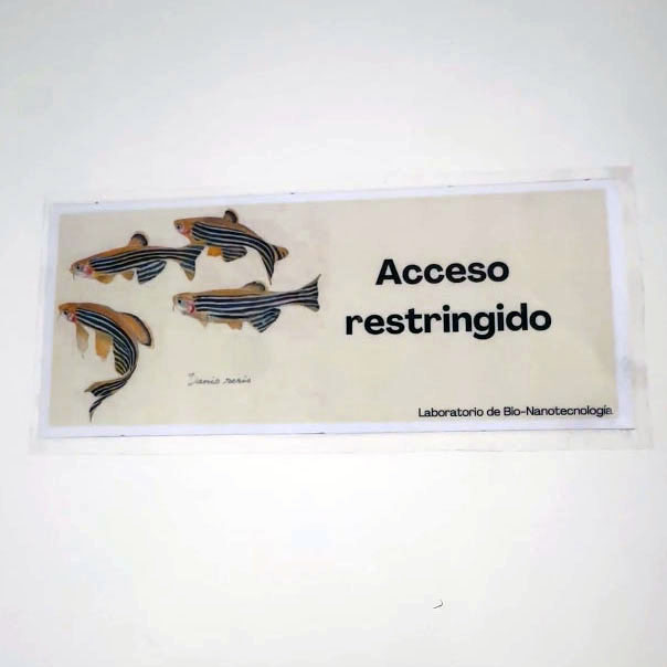 Describir el contenido visual de esta imagen