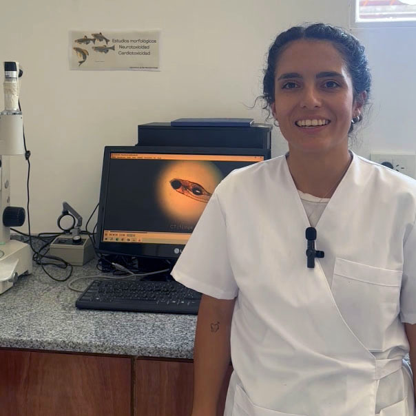 Describir el contenido visual de esta imagen