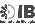 logo ib