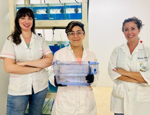 De izquierda a derecha: Carolina Martinez, Egly Norka Llerena Suster (técnica del acuario) y Jimena Prieto.